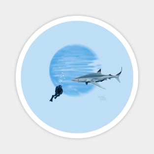 curious Shark in deep blue sea Magnet